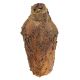"MATERIOGRAPHY"n°36 Rouille sur Bouteille